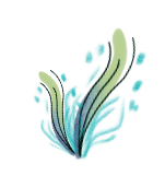 plante maritime